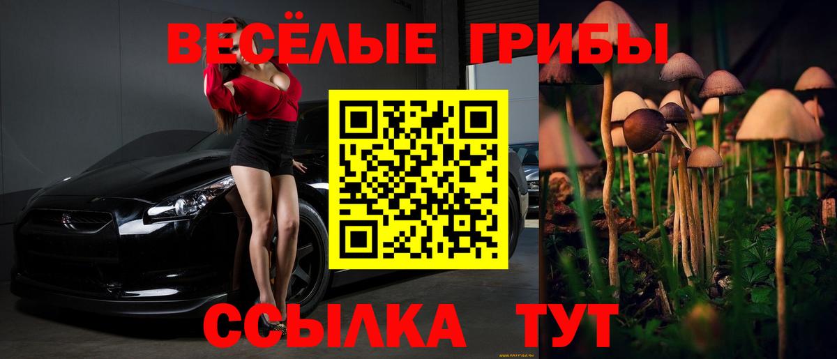 Псилоцибиновые грибы мицелий Советск