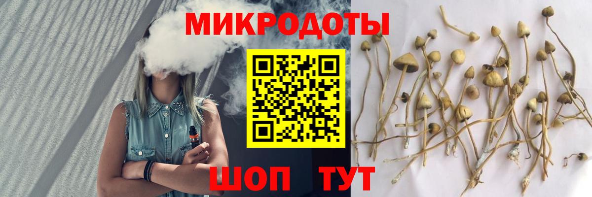 Псилоцибиновые грибы Cubensis  Вход с VPN  Советск  Галлюциногенные грибы Magic Shrooms 